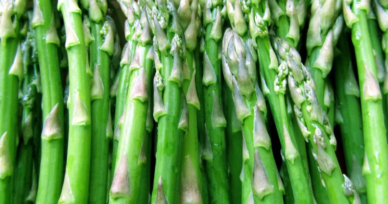 Simple Asparagus