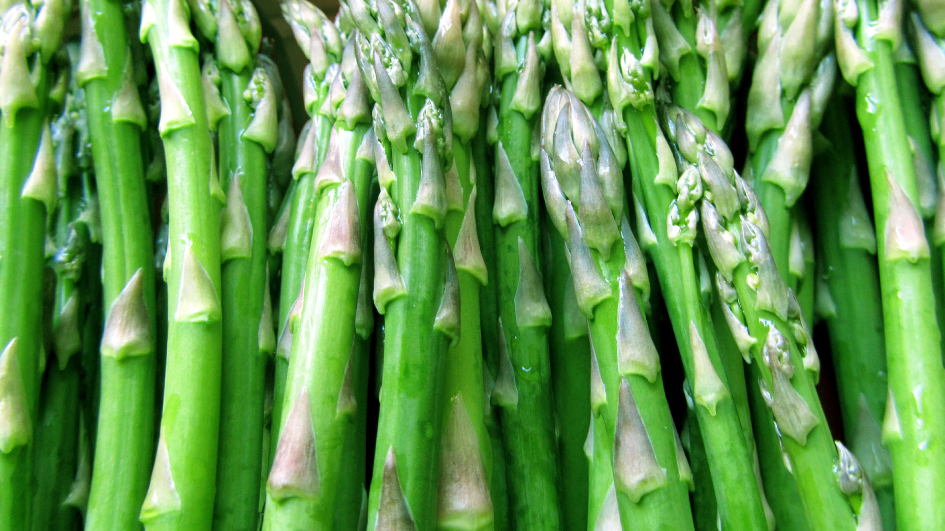Simple Asparagus